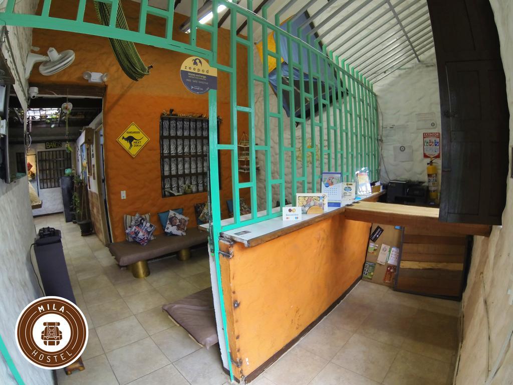 Mila Hostel Medellin Ngoại thất bức ảnh